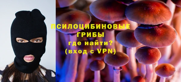 твердый Алексеевка