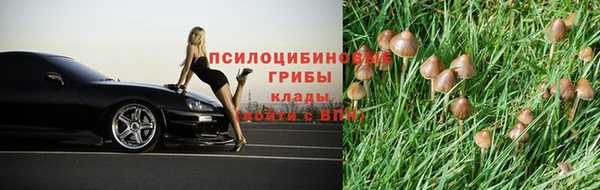 марки lsd Алзамай