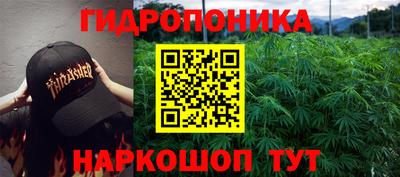 apvp Беслан