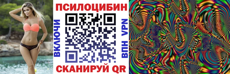Галлюциногенные грибы Psilocybe  Канаш 