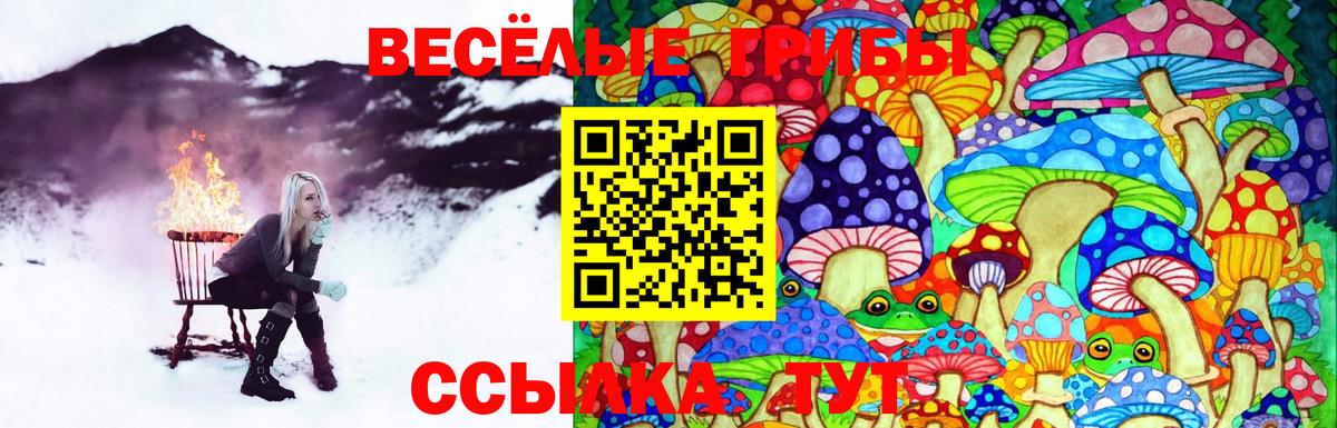 Галлюциногенные грибы Magic Shrooms Канаш